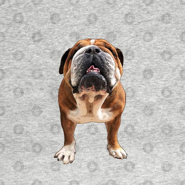 Bulldog English / British / American Dog by ElegantCat